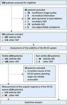 Visualization and clinical relevance of the endolymphatic duct and sac in Ménière's disease